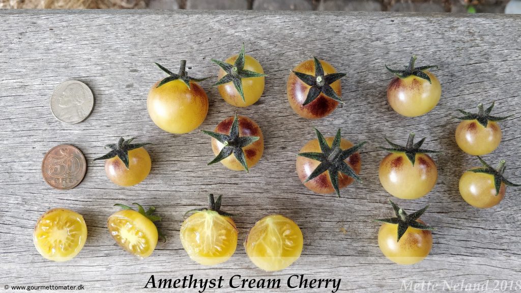 Amethyst Cream Cherry