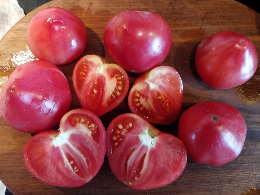 Dwarf Pink Passion