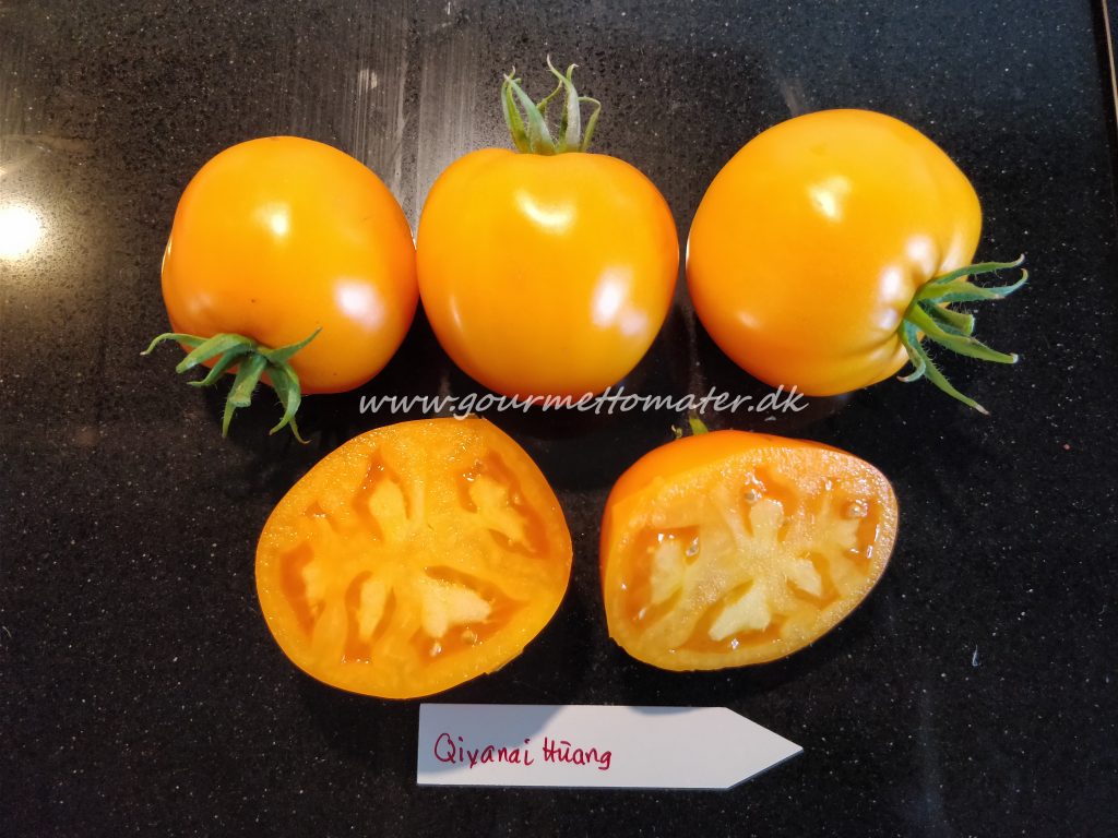 Qiyanai-Huang - en sjælden Kinesisk Tomat