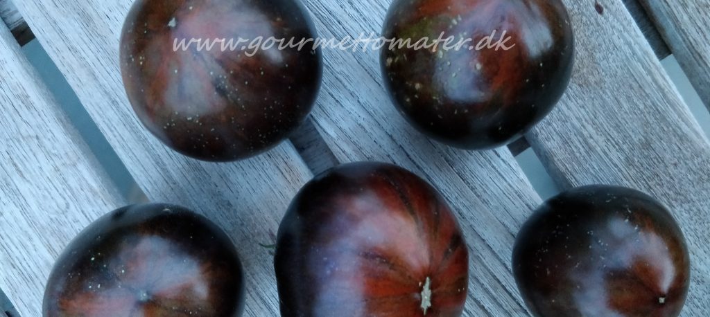 Mette's Sort/orange Zebra